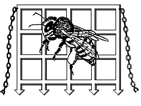 Romsey & District Beekeepers Association logo